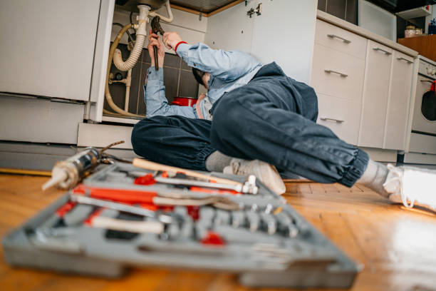 Best Shower Repair Services  in Tinley Park, IL