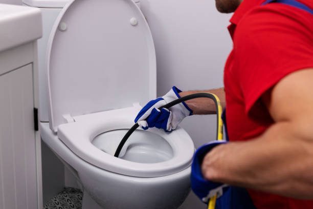 Best Plumbing Services Near Me  in Tinley Park, IL