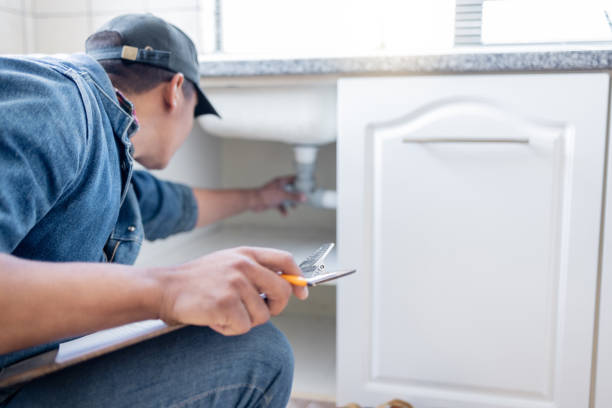 Best Plumbing Services Near Me  in Tinley Park, IL