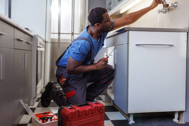 Best Water Softener Installation  in Tinley Park, IL