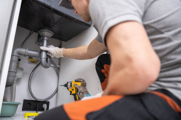 Best Local Plumber Services  in Tinley Park, IL