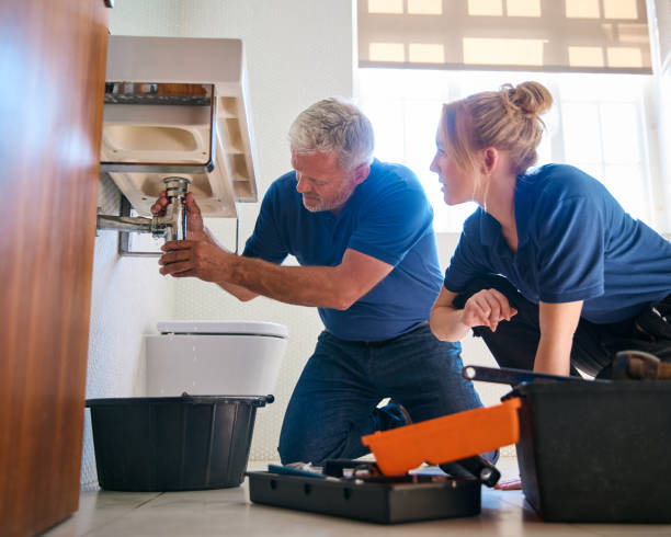 Best Plumbing Inspection Services  in Tinley Park, IL